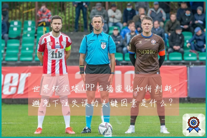 世界杯买球APP临场变化如何判断，避免下注失误的关键因素是什么？