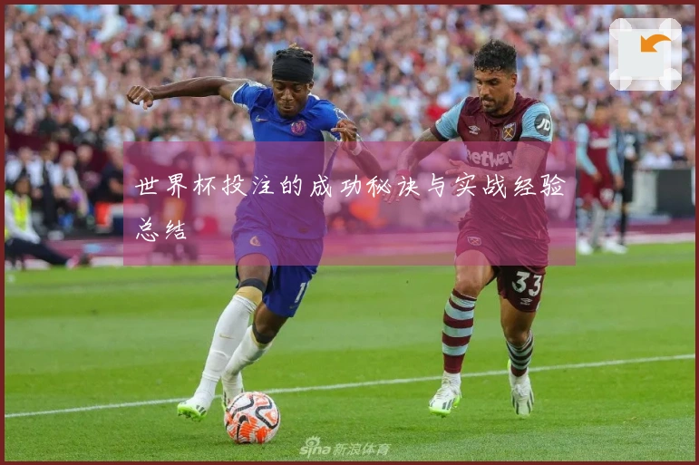 世界杯投注的成功秘诀与实战经验总结