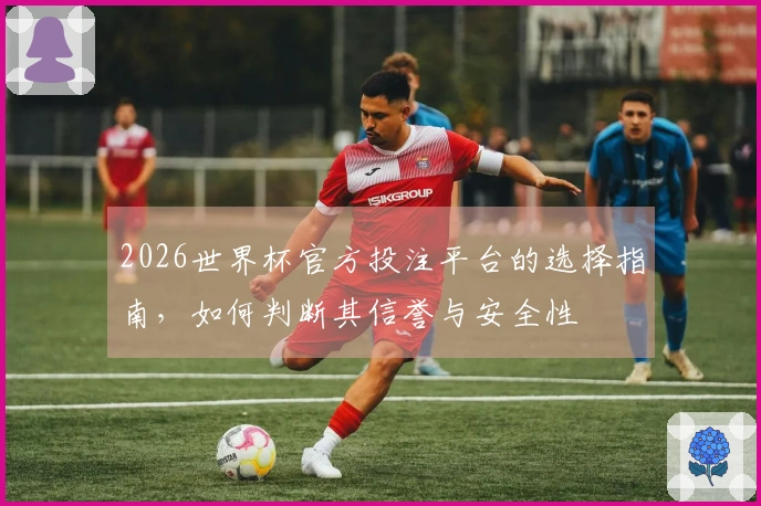 2026世界杯官方投注平台的选择指南，如何判断其信誉与安全性