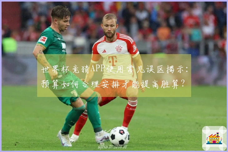 世界杯竞猜APP使用常见误区揭示：预算如何合理安排才能提高胜算？