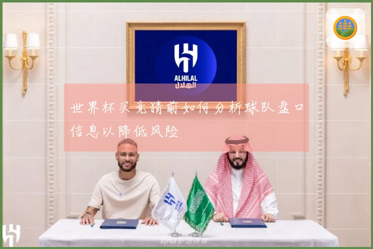 世界杯买竞猜前如何分析球队盘口信息以降低风险