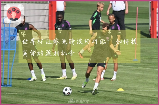 世界杯让球竞猜技巧对比：如何提高你的盈利机会